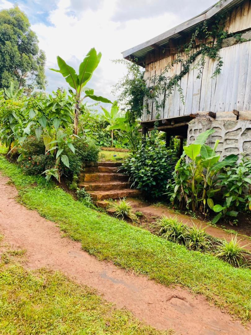 Hotel Rock Garden Sipi Kapchorwa Exteriér fotografie