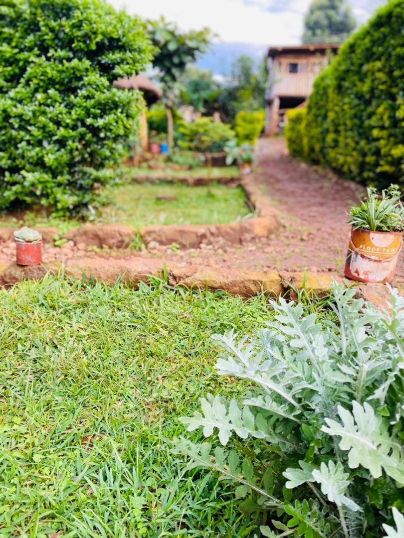 Hotel Rock Garden Sipi Kapchorwa Exteriér fotografie